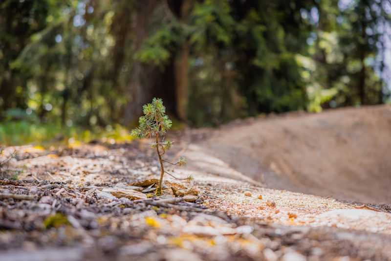 Massart_Biketrails-construction_3