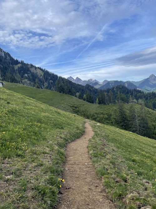 massart-biketrails_pistesVTT_2